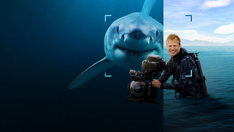 video-section-banner-image