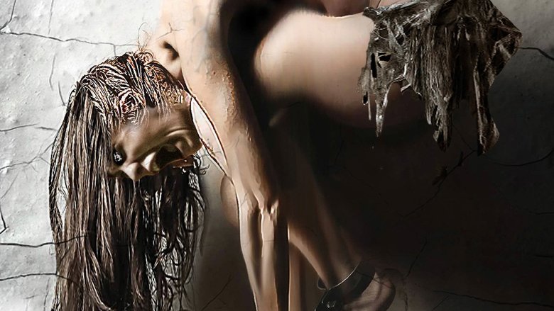 video-section-banner-image