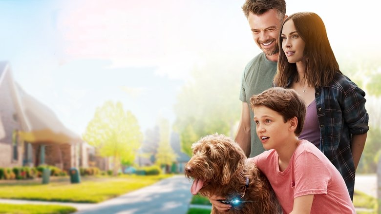video-section-banner-image