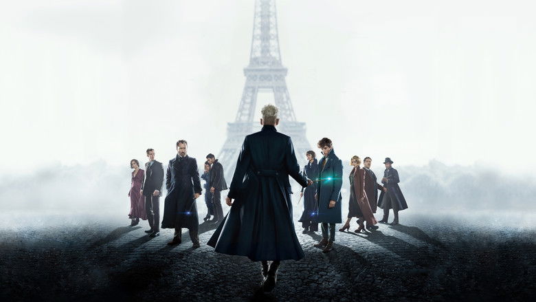 video-section-banner-image