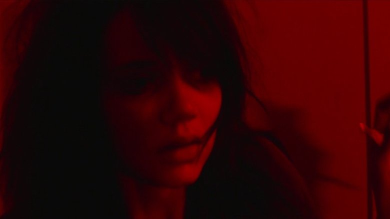 video-section-banner-image
