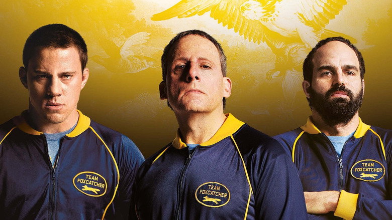 video-section-banner-image