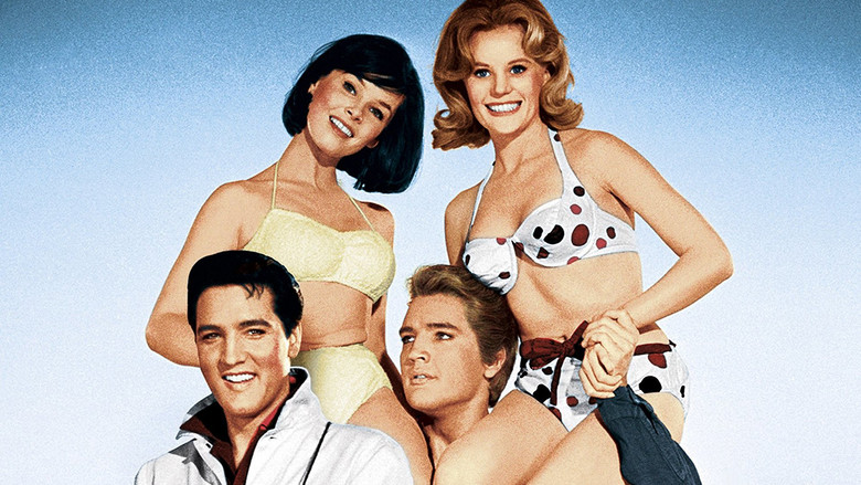 video-section-banner-image