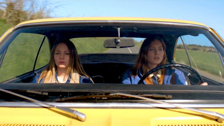 video-section-banner-image