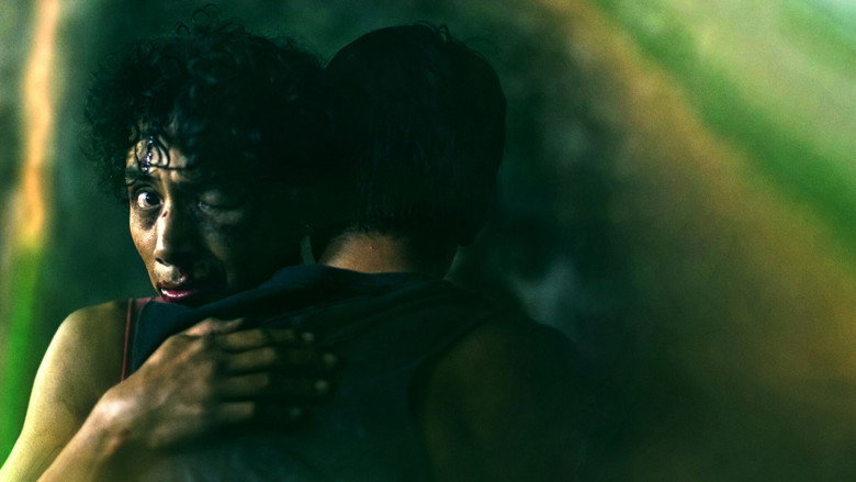 video-section-banner-image