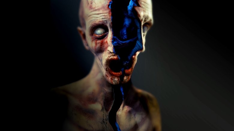 video-section-banner-image