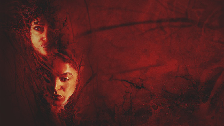 video-section-banner-image