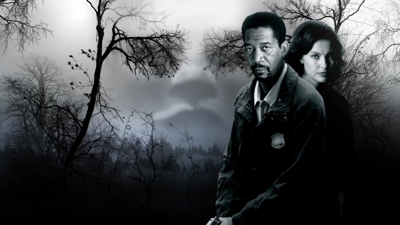 video-section-banner-image