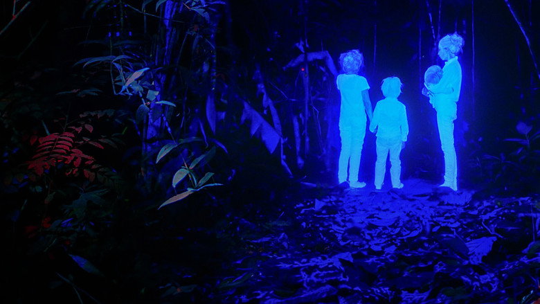 video-section-banner-image