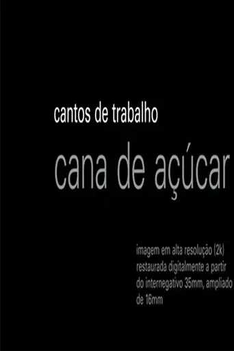video-section-banner-image