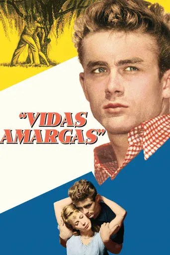 video-section-banner-image