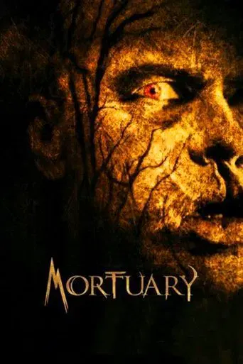 video-section-banner-image