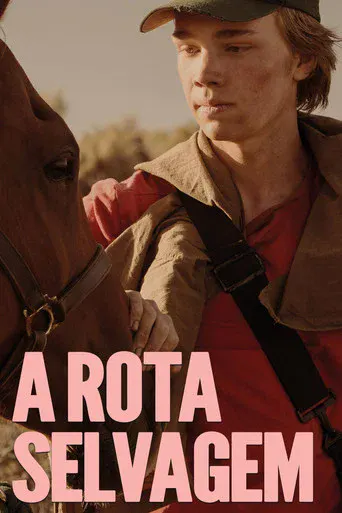 video-section-banner-image