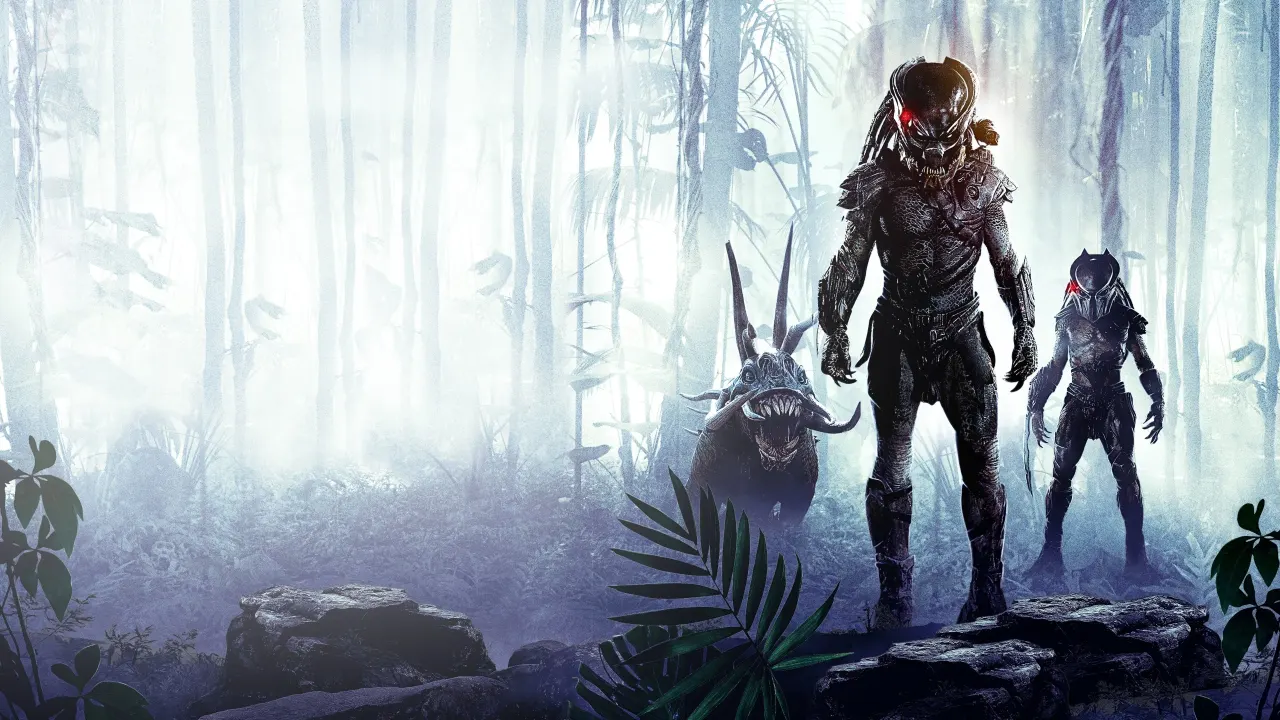 video-section-banner-image