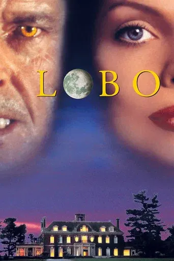 video-section-banner-image