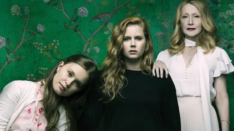 video-section-banner-image