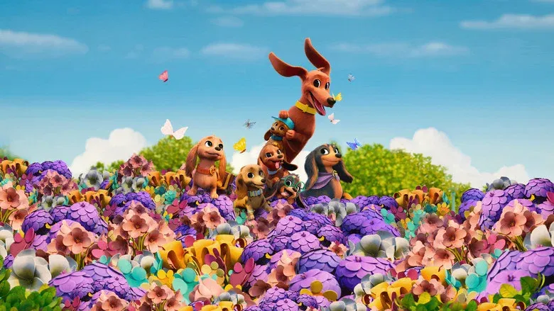 video-section-banner-image