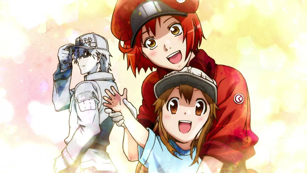 video-section-banner-image